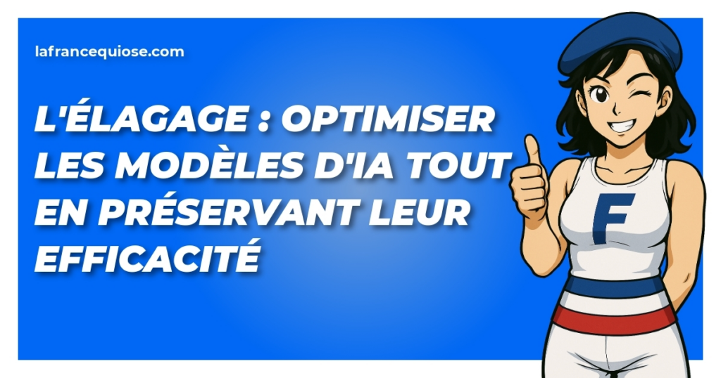 lelagage optimiser les modeles dia tout en preservant leur efficacite la france qui ose